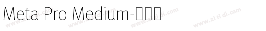 Meta Pro Medium字体转换